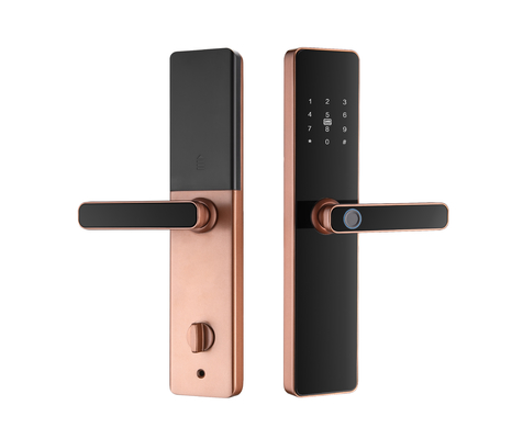 S819 Digital Smart Home Door Lock WiFi Enabled Tuya TTlock  & Fingerprint with Password Key Card Lock