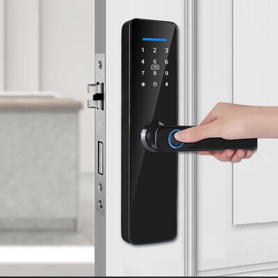 Qleung Classic Black S811 Smart Door Lock with 8 Languages CE ROHS Certification and Semiconductor Fingerprint
