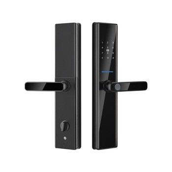 Fechaduras de porta Biométricas de impressões digitais pretas Tuya TTlock Fechaduras de porta eletrônicas digitais