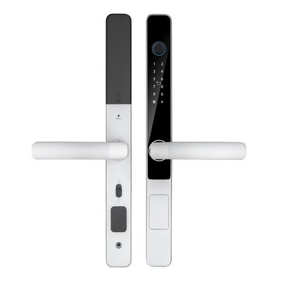 IP65 Impermeável Smart Tuya Wifi Controle remoto TTlock App Fechadura digital de porta