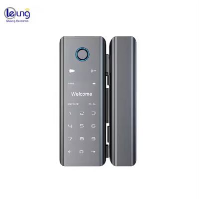 Qleung Smart Lock G9S Tuya APP Lock Password Code Card Key Impressão digital Smart Home Door Lock para porta de vidro