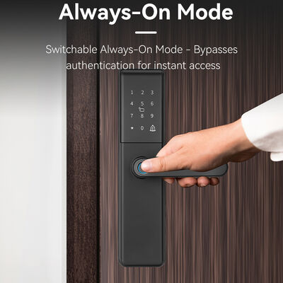 Qleung S851 Tuya Smart Door Lock com armazenamento de dados em nuvem Grade B Lock Cylinder e rede Wi-Fi